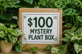 Mystery Plant Box